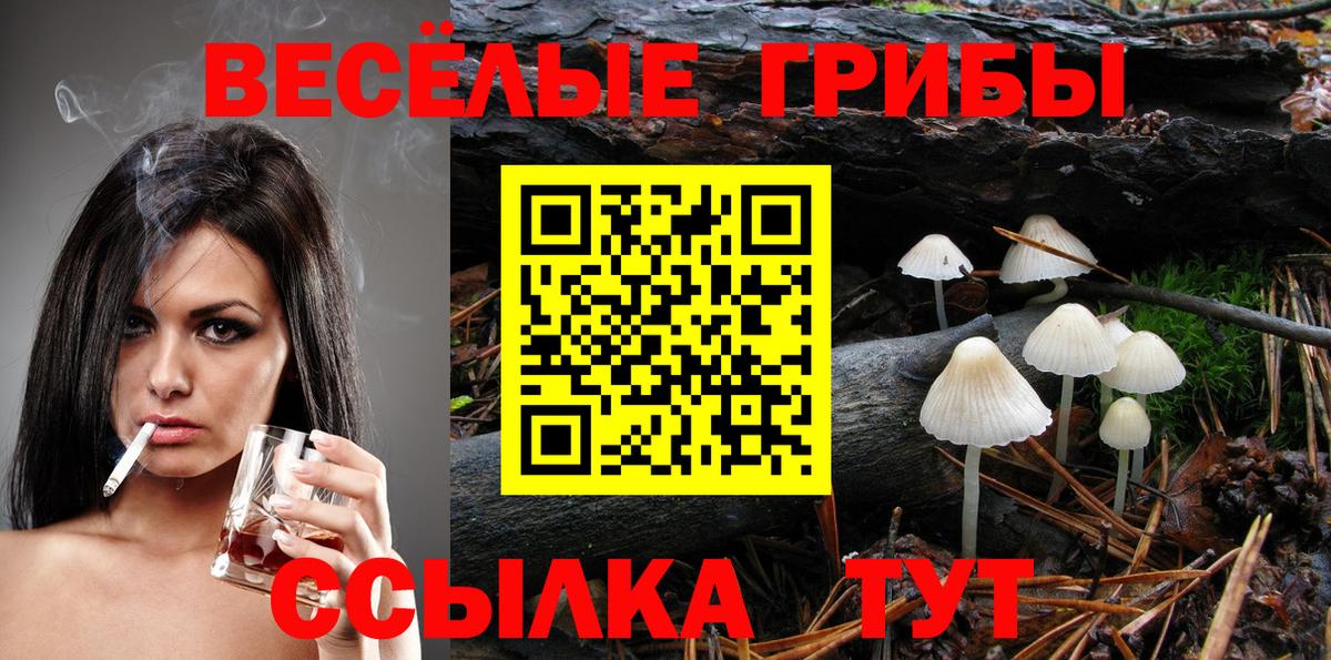 Псилоцибиновые грибы мухоморы Сарапул