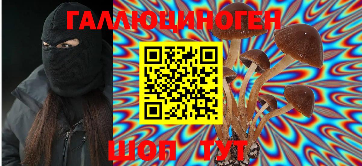 Псилоцибиновые грибы Psilocybe  Вход с VPN  Сарапул 